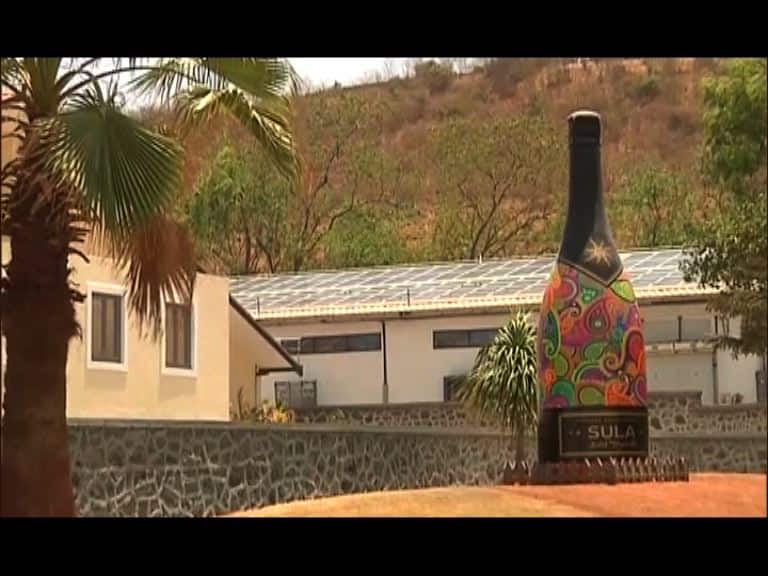 नाशिकचं 'सुला विनीयार्ड्स' ऊर्जानिर्मितीत स्वयंपूर्ण Nashik Sula Vineyards Creates Own Energy Using Solar Panel नाशिकचं 'सुला विनीयार्ड्स' ऊर्जानिर्मितीत स्वयंपूर्ण