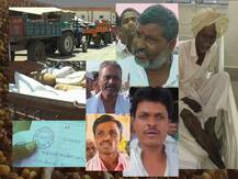 काहीही करा, पण तूर खरेदी करा, शेतकऱ्याची सरकारला आर्त हाक