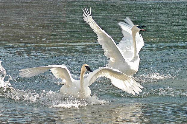 घुमक्कडी : धरतरी माझी मायु रं, तिच्यावं पाय कसा मी ठेवू रं