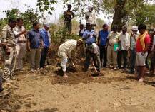 जय वाघाच्या बेपत्ता बछड्याची शिकार, श्रीनिवासनचा मृतदेह आढळला