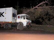 मुंबई-गोवा महामार्गावर झाडं कोसळलं, महामार्ग ठप्प