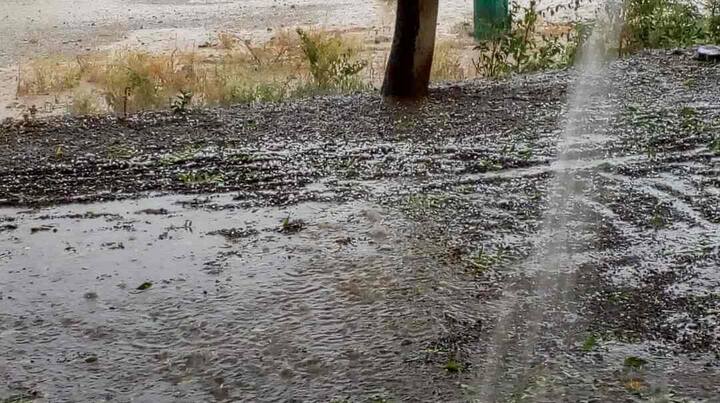 अवकाळी पाऊस आणि गारपिटीने डाळिंब, कांदा या पिकांचे नुकसान झाले आहे.
