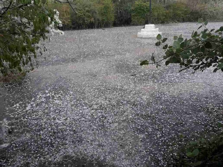 Sudden Rain In Maharashtra Latest Updates राज्यभरात अवकाळी पावसाचं थैमान, पिकांचं मोठं नुकसान