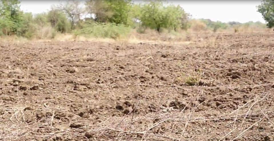 अकोल्यात सहकार विभागाकडून सावकारांविरोधात धडक कारवाई Cooperative Department Action Against Savkar In Akola Latest Updates अकोल्यात सहकार विभागाकडून सावकारांविरोधात धडक कारवाई