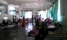 भंडाऱ्यात मोकाट कुत्र्याची दहशत, 35 हून अधिक जणांना चावा