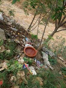 बीड : भर दुष्काळात जगवलेल्या झाडांवर पक्ष्यांसाठी पाण्याची सोय