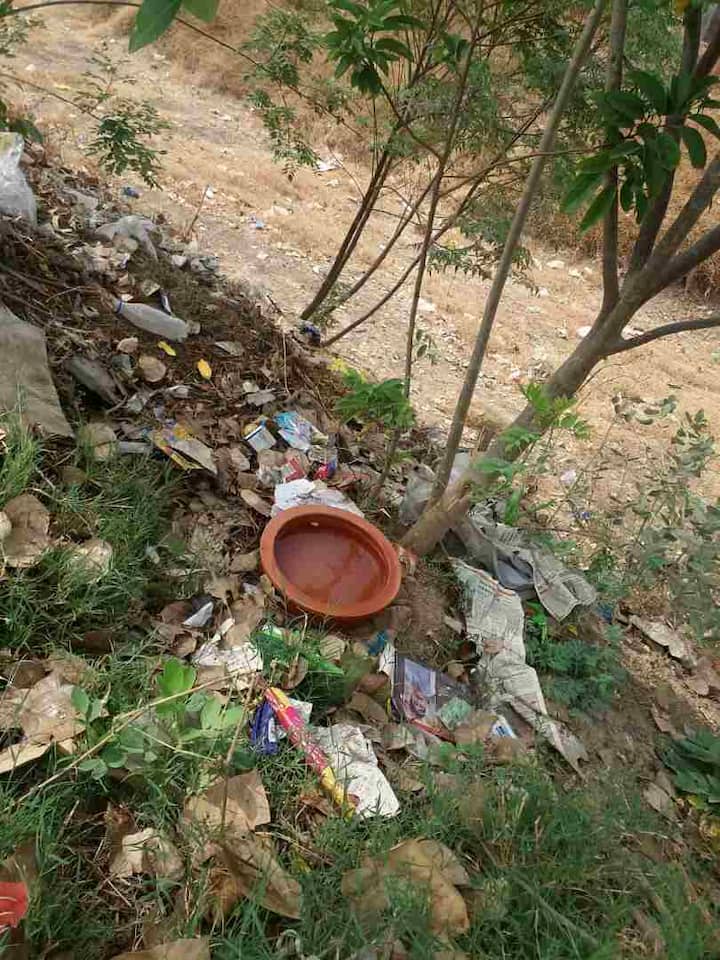 जलयुक्त शिवार योजनेअंतर्गत झालेल्या कामांवर गेल्या वर्षी माऊली शिरसाट यांनी एक हजार झाडं लावली होती. भर दुष्काळात त्यांनी ती सर्व झाडं जगवली. आता त्या झाडांवर पशू-पक्ष्यांसाठी पाण्याची टाकी आणि कुंड्या ठेवून पाण्याची सोय केली आहे.