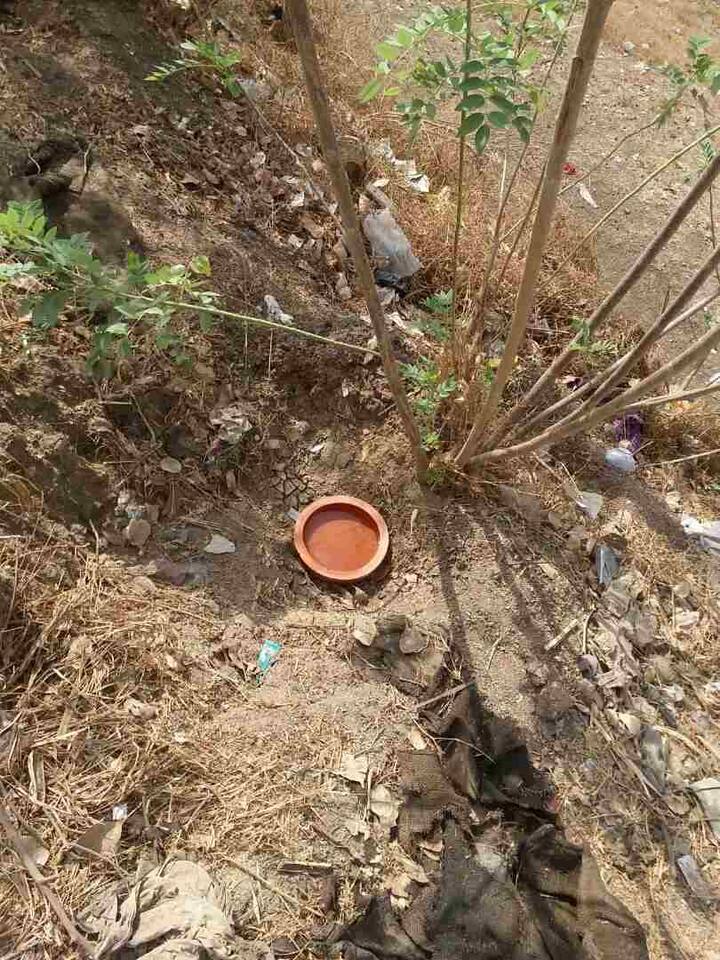 पाहा आणखी फोटो