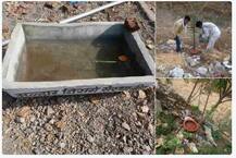 बीड : भर दुष्काळात जगवलेल्या झाडांवर पक्ष्यांसाठी पाण्याची सोय