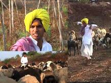 राष्ट्रीय पुरस्कार विजेता ‘टिंग्या’ आणि त्याच्या कुटुंबाचा संघर्ष!