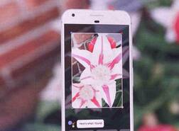 गुगलचं एक भन्नाट अॅप, सुंदर पिचाईंकडून घोषणा!