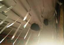 पुण्यात प्रेयसीने प्रियकराच्या लग्नाचा मंडप जाळला