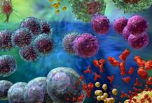 \'या\' अॅण्टीबॉडीमुळे नष्ट होऊ शकतात कॅन्सरच्या पेशी!