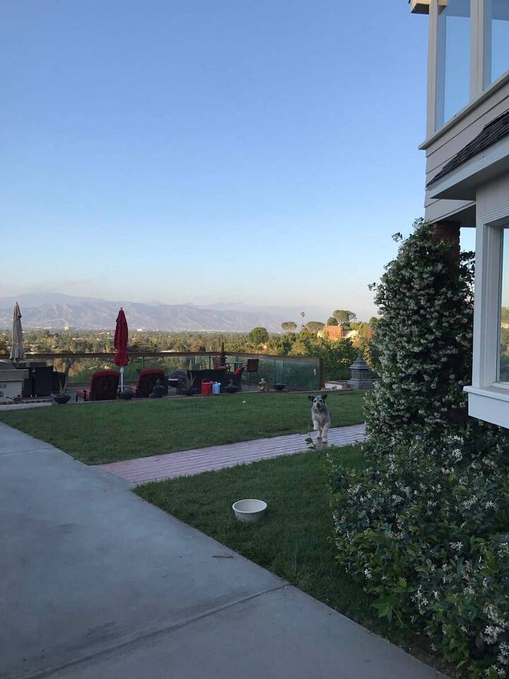 पाच बेडरुमच्या या घरात आणि घराच्या आवारात होम थिएटर, स्वीमिंग पूल, आऊटडोअर डायनिंग एरिया आणि मोठी बाग आहे