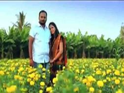 व्हिडिओ : प्री वेडिंग शूटसाठी 'तुझ्यात जीव रंगला'च्या गाण्याची क्रेझ