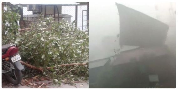 Pre Monsoon Rain With Stormy Winds In Nagar Latest Updates वीज पडून एकाचा मृत्यू, अहमदनगरमध्ये वादळी वाऱ्याचा कहर