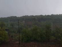 महाबळेश्वरमध्ये पाऊस, आल्हाददायक गारवा