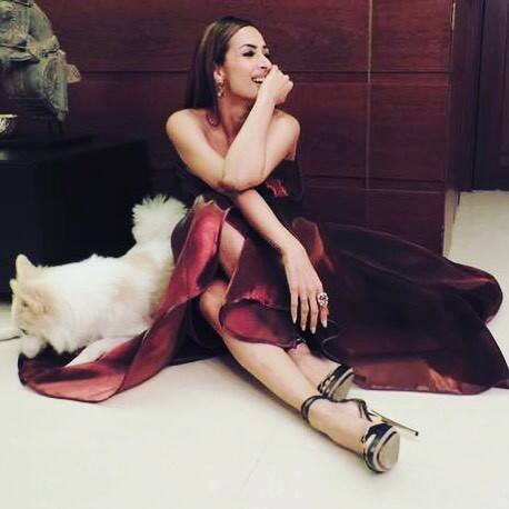 अभिनेत्री मलायका अरोरा