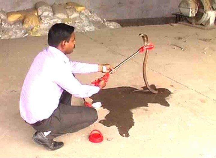 Snake Catcher Invented By Aurangabad Youth Latest Udpates साप पकडण्यासाठी यंत्र, औरंगाबादमधील सर्पमित्राचं संशोधन