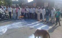 शेतकरी संपावर, दूध रस्त्यावर 