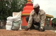 नाशिकमध्ये शेतकरी संपादरम्यान हृदय हेलावणारं चित्र!