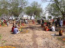 नाशिकमध्ये 12 हजार झाडांचं बर्थडे सेलिब्रेशन