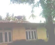 पत्नीसोबत कडाक्याचं भांडण, पतीराजाचा छतावरुन उडी मारण्याचा प्रयत्न