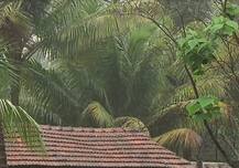 मनाला भुरळ घालणारा कोकणातला पाऊस! 