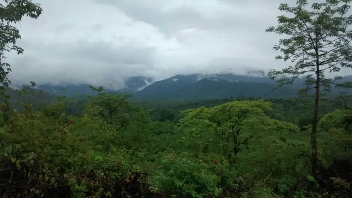 सिंधुदुर्ग जिल्ह्यातील अंबोलीत पावसाच्या स्वागतासाठी दरवर्षीच पर्यटक मोठी गर्दी करतात. अंबोलीतलं यावर्षीचं निसर्ग सौंदर्य डोळ्यात साठवण्यासाठी पर्यटकांनी मोठी गर्दी केली आहे. एबीपी माझा प्रेक्षकाने काढलेले काही खास फोटो.
