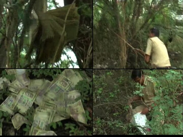 500 And 1000 Old Currency Notes Found On Tree In Aurangabad औरंगाबादमध्ये झाडाला लटकल्या साडे दहा लाख रुपयांच्या नोटा