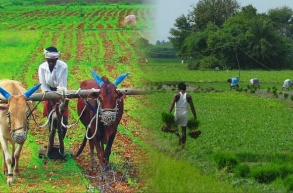 Rajendra Jadhavs Blog On Farmer Issues And Government Latest Update शेतीप्रश्नांवर सरकारला उशिराच का जाग येते ?