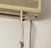 उंदराला गिळण्यासाठी सापाची चक्क एसीतून एंट्री 