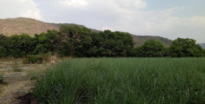 खादाडखाऊ : मावळचा रिफ्रेशिंग टर्निंग पॉईंट