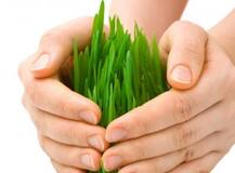 ...तर पीक विमा भरण्याची मुदत वाढवून मिळणार