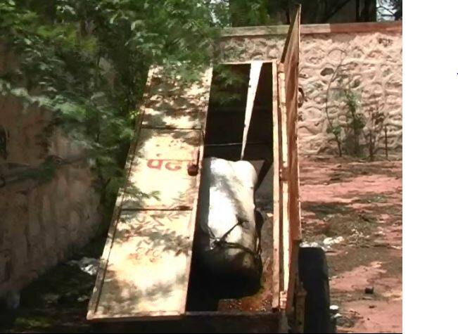 जागा नसल्याने पंढरीत मृतदेह 6 दिवस पोत्यात भरुन Pandharpur Dead Body Kept For 6 Days In Sack Since There Was No Place Latest News जागा नसल्याने पंढरीत मृतदेह 6 दिवस पोत्यात भरुन