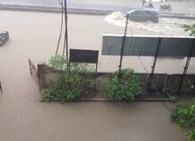 नागपूरमध्ये जोरदार पाऊस, रस्त्यावर पाणीच पाणी 