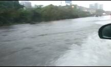 मुंबईसह राज्यात पावसाचा जोर, 24 तासात मुसळधार पावसाचा अंदाज