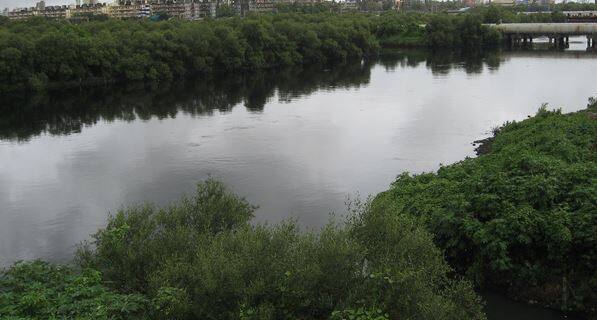 क्षुल्लक वादाचा राग, मुंबईत 73 वर्षीय वृद्धेची नदीत उडी