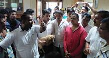कोल्हापूर : नगरपालिकेच्या कार्यालयात भटकी कुत्री सोडून आंदोलन