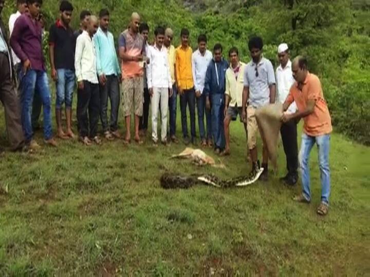 पाहा आणखी फोटो...