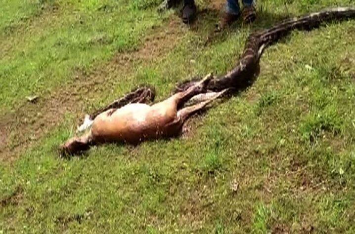 पाहा आणखी फोटो...