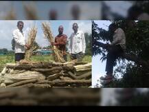 समृद्धी महामार्गाला विरोध करत शेतकऱ्यांनी रचली स्वत:चीच चिता