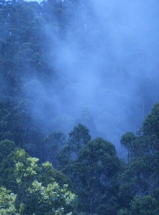  घुमक्कडी (50) : पाऊस आणि वाऱ्याचं युद्ध!