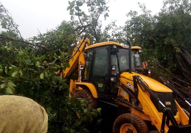 मुंबई- गोवा महामार्गावर एकेरी वाहतूक सुरु Tree Collaps On Road Mumbai Goa Highway Traffic Disrupted मुंबई- गोवा महामार्गावर एकेरी वाहतूक सुरु