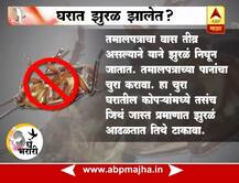 घरातील झुरळ घालवण्यासाठी खास टिप्स 