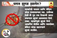 घरातील झुरळ घालवण्यासाठी खास टिप्स 