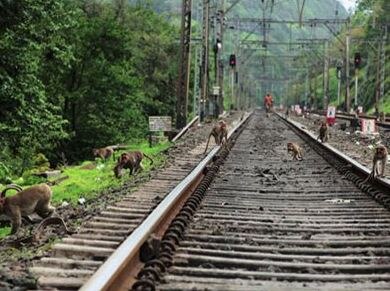 Rail Track Collapsed Near Monkey Hill In Lonawala मंकी हिलजवळ रेल्वे ट्रॅक खचला, कोयना एक्स्प्रेस एक तास खोळंबली