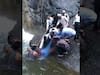 धबधब्याखालील बर्थडे सेलिब्रेशन तरुणाच्या जीवावर बेतलं!