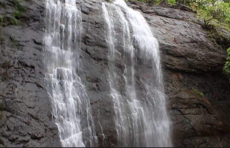 Mumbai Many Tourist Died While Celebrating Gatari At Waterfalls Latest Update गटारीचा उत्साह अंगलट, राज्यभरात सात पर्यटकांचा बुडून मृत्यू