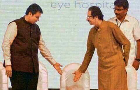 वाघ-सिंह 2019 मध्येही एकत्र, मुख्यमंत्र्यांकडून युतीचे संकेत